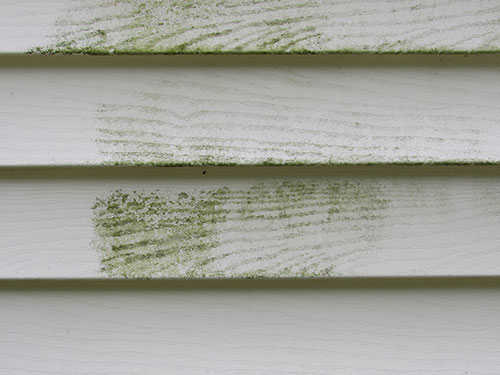 How House Washing Protects Your Home and Boosts Curb Appeal