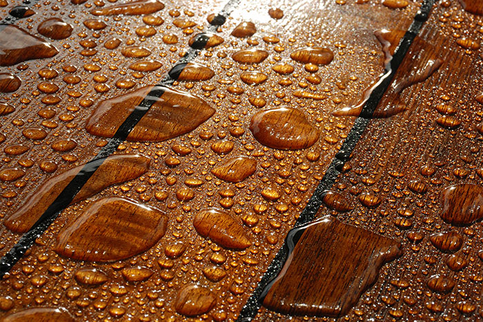 Frequently Asked Questions