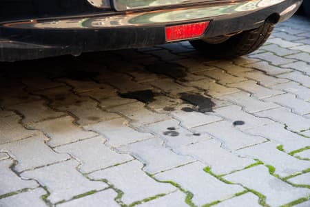 Driveway Pressure Washing